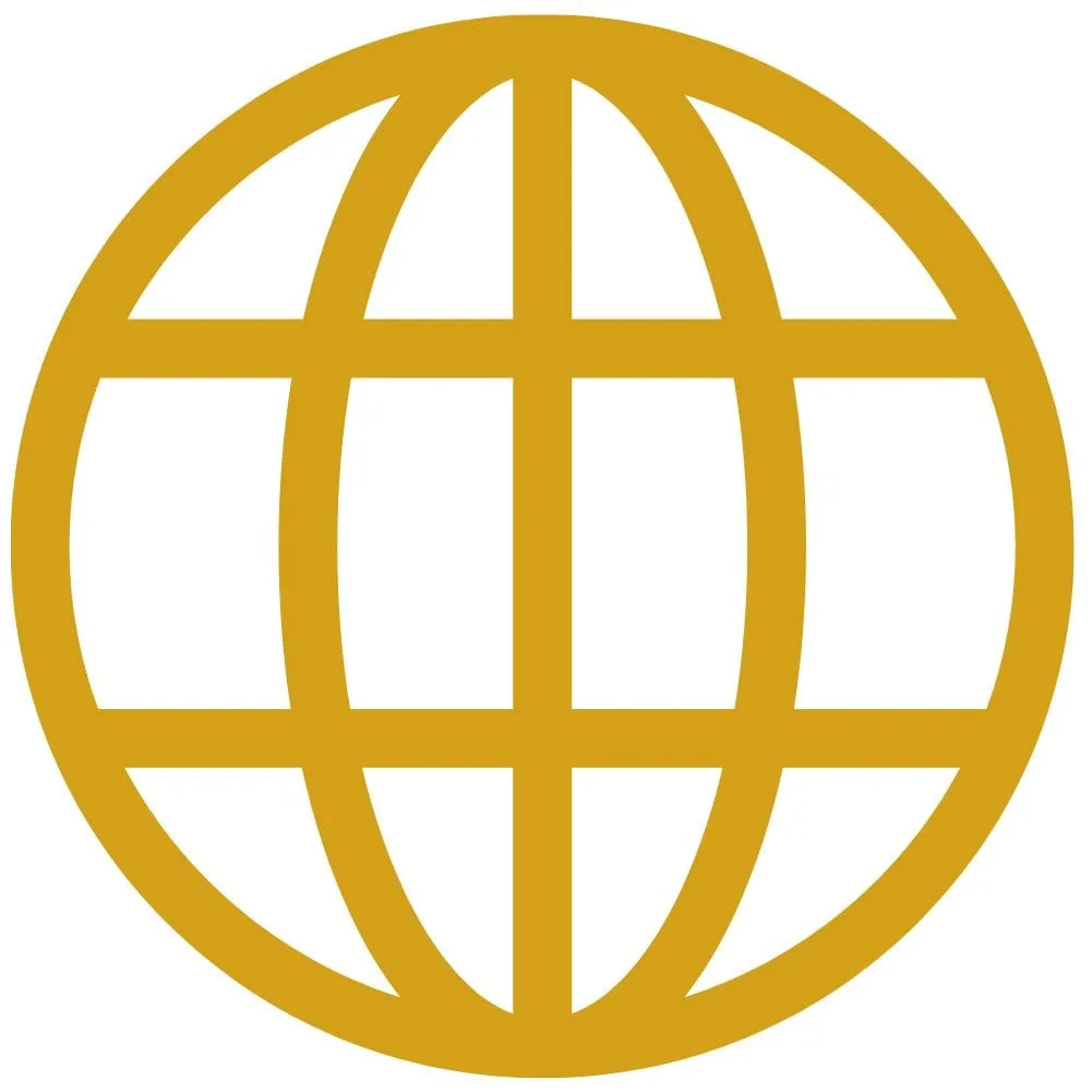 SEO Services in Punjab
