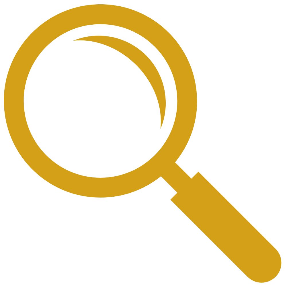 SEO Services in Punjab