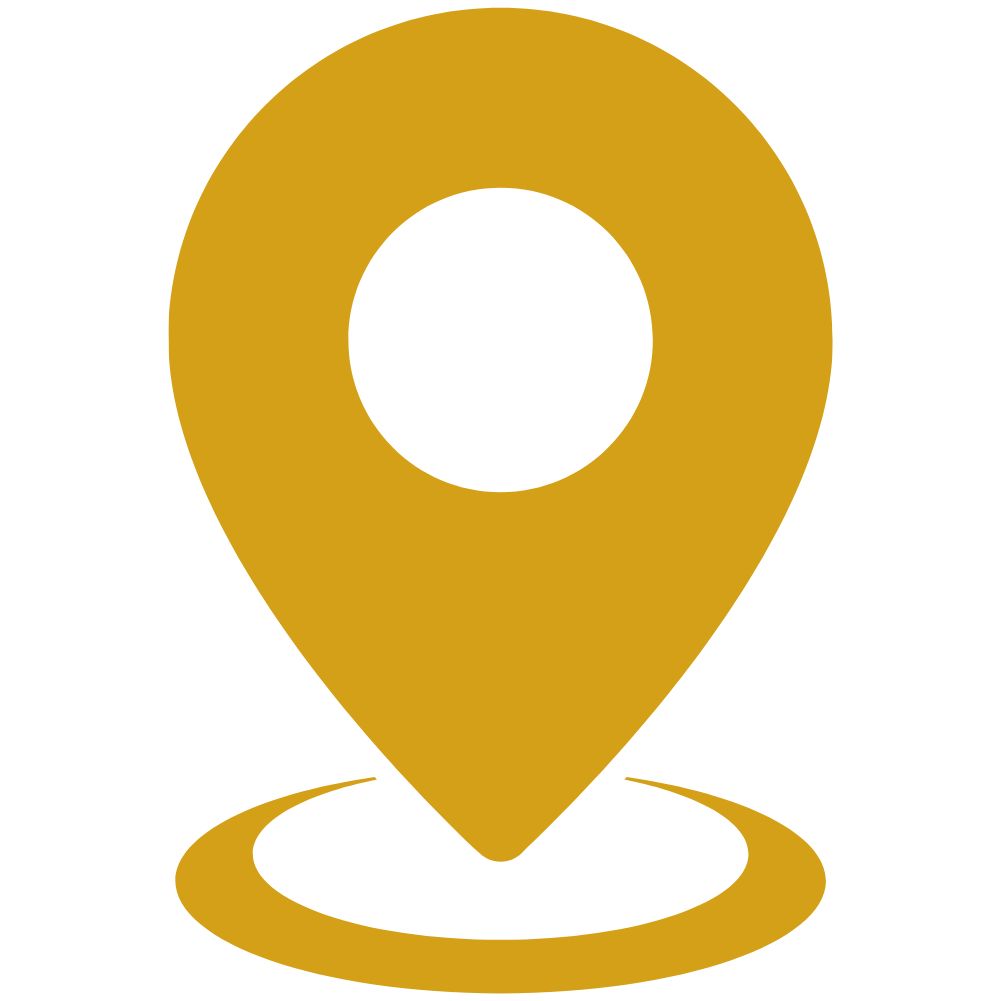 SEO Services in Punjab