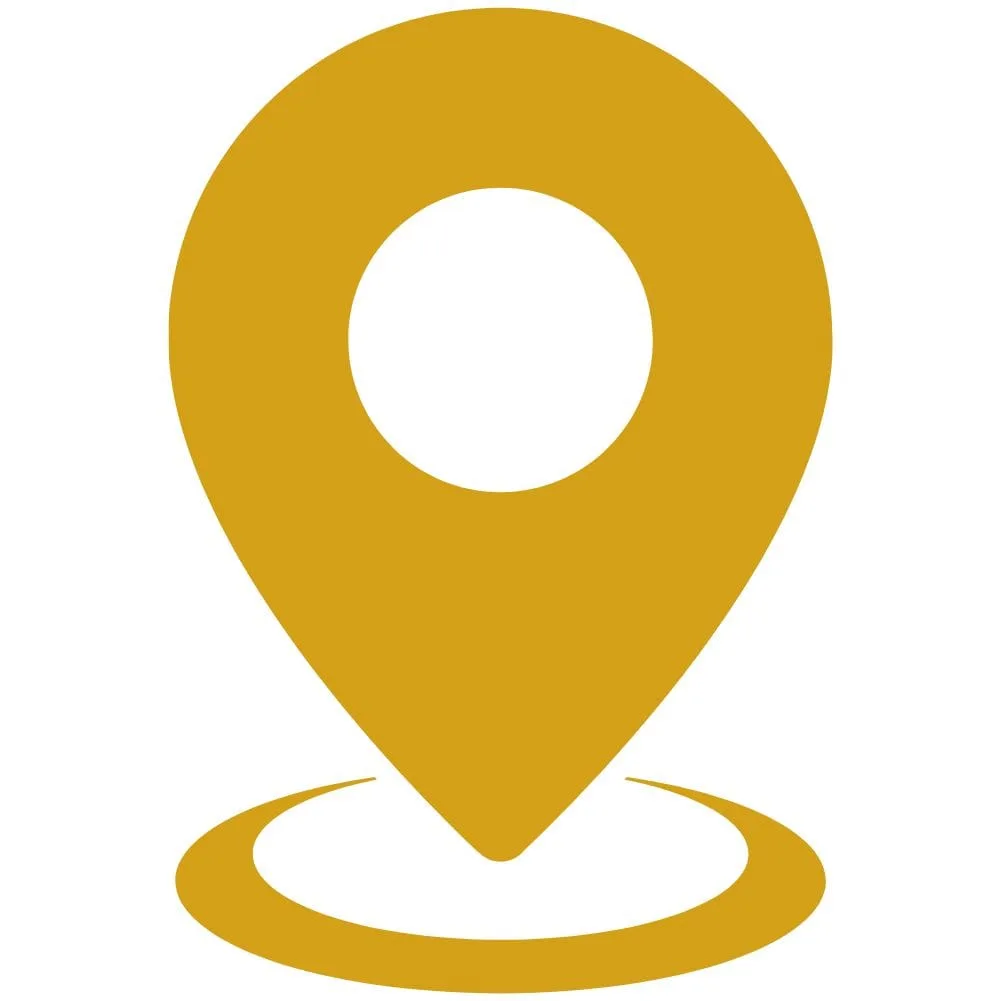 SEO Services in Punjab